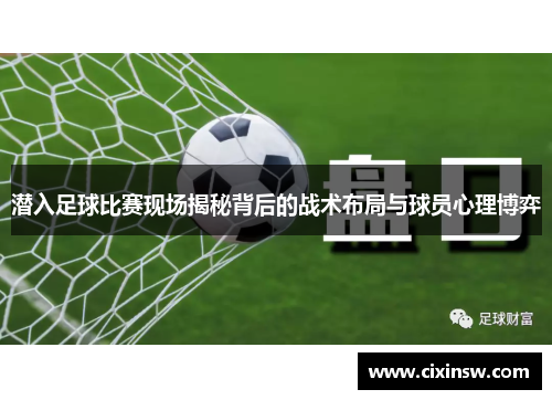 潜入足球比赛现场揭秘背后的战术布局与球员心理博弈