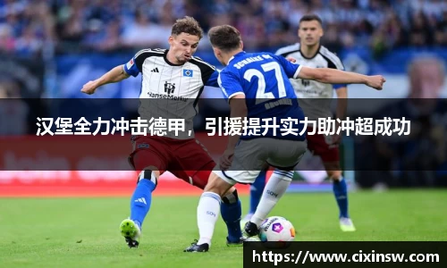 汉堡全力冲击德甲，引援提升实力助冲超成功