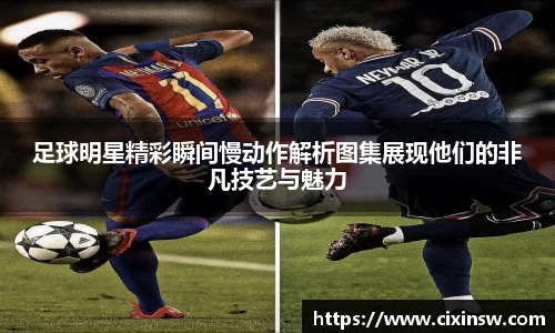 万博max官网